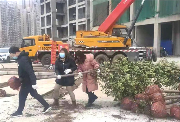 &#20048;&#25237;&#22312;&#32447;&#45;&#20048;&#25237;&#22312;&#32447;&#40;&#20013;&#22269;&#41;